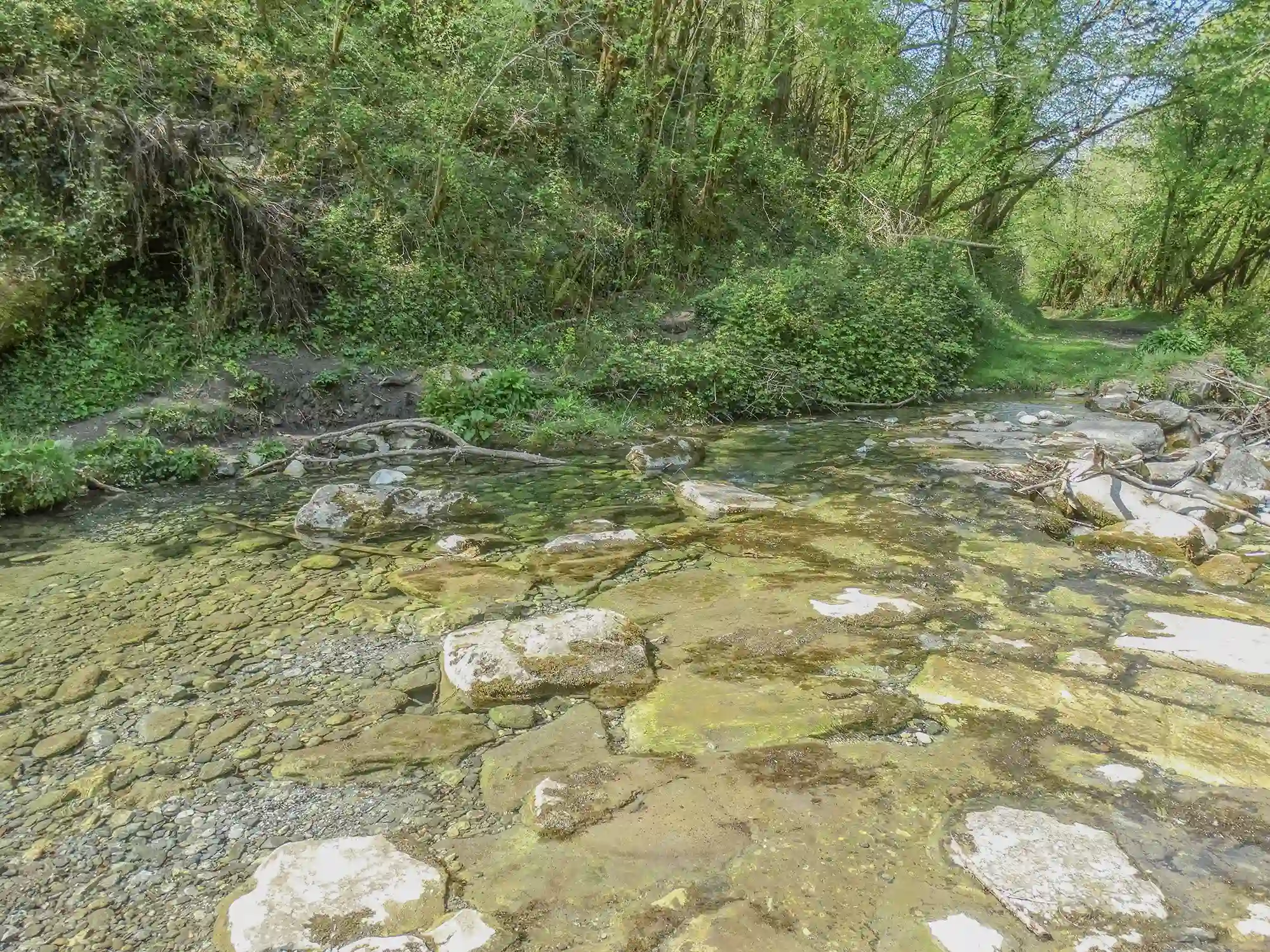 en faveur de l environnement